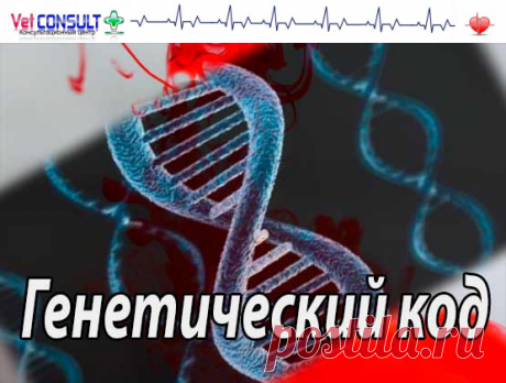 Генетический код человека и животных