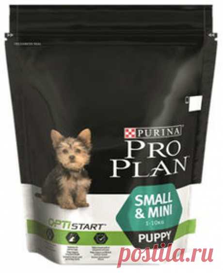 Сухой корм Pro Plan Puppy Small & Mini для щенков мелких и карликовых пород. Курица с рисом