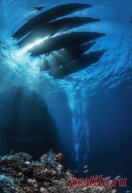 «Подводный рай». Около острова Менджанган, Индонезия. Автор фото — Сергей Вердеревский: nat-geo.ru/photo/user/37122/
