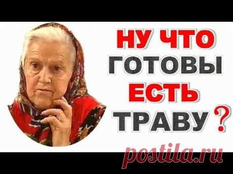 Е Зайцева ВЫ СКОРО ВСЕ ТРАВУ ЕСТЬ БУДЕТЕ!