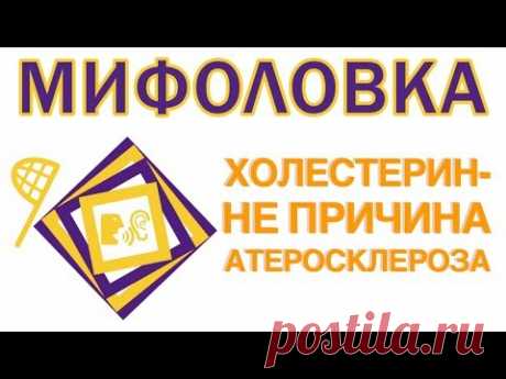 Холестерин - не главная причина атеросклероза сосудов. Инсульт и атеросклероз - бороться с этими заболеваниями только таблетками бесполезно. Каковы главные п...