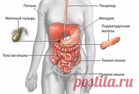 Голодание – это древнейшая в мире диетическая процедура | Диеты со всего света