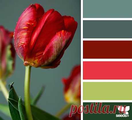 Design Seeds® | find your palette