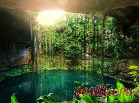 Сеноты — врата в подземный мир майя Сеноты являются заполненными водой полостями и единственным источником пресной воды в Мексиканском штате Юкатан. Некоторые из них вертикальные шахты, а