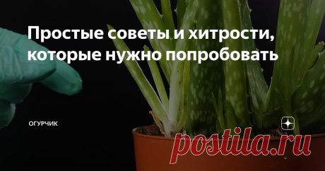 Простые советы и хитрости, которые нужно попробовать