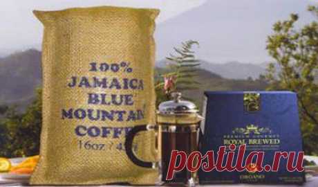 Часто используется как синоним кофе совершенства, ямайский Blue Mountain относится к конкретному региону на острове Ямайке. Голубые горы, из которых Blue Mountain пик самая высокая точка на Ямайке в 7402 футов над уровнем море.