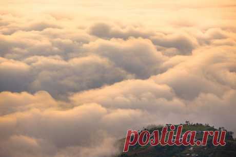Укутанный облаками поселок Нагаркот. Гималаи, Непал. Автор фото – Антон Янковой: nat-geo.ru/photo/user/49098/