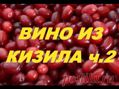 Вино из кизила ч.2.Wine from dogwood part 2