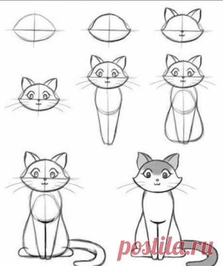 Как рисовать котёнка: 20 пошаговых схем с объяснениями