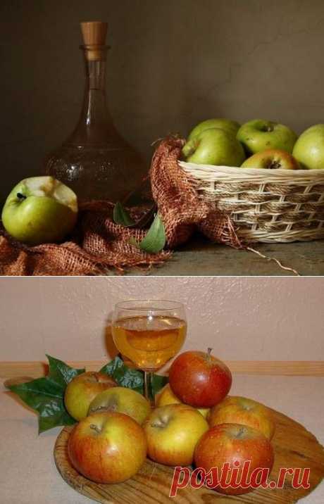Вино из яблок в домашних условиях простой рецепт / Простые рецепты