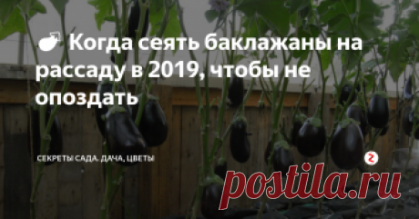 🍆 Когда сеять баклажаны на рассаду в 2019, чтобы не опоздать Баклажаны, или "синенькие" — родственник помидоров и очень теплолюбивая культура. Для нормального развития ей нужна температура около 25 °C и выше, а другого варианта, как выращивать рассаду, нет. Даже в южных регионах России. Когда нужно сеять семена баклажана в 2019 году, с поправками на все нюансы и Лунный календарь, читайте в этой статье.
П