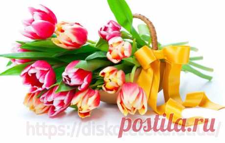 Весенние тюльпаны - Красивые цветы - Фотоальбомы - Танцы мечты