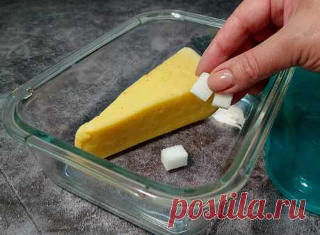 ХОЗЯЙКЕ НА ЗАМЕТКУ - Как сыр сохранить свежим дольше?
