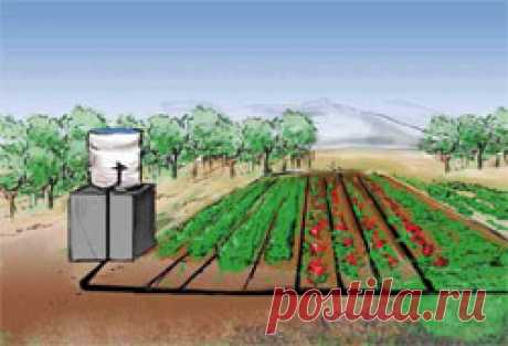 Как полить огород? - Свое хозяйство *  - Сборник - Познавательный Интернет-журнал &quot;Умеха - мир самоделок&quot;