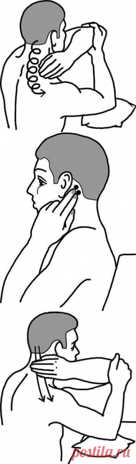 Самомассаж шеи улучшается кровоток сосудов мозга — Полезные советы