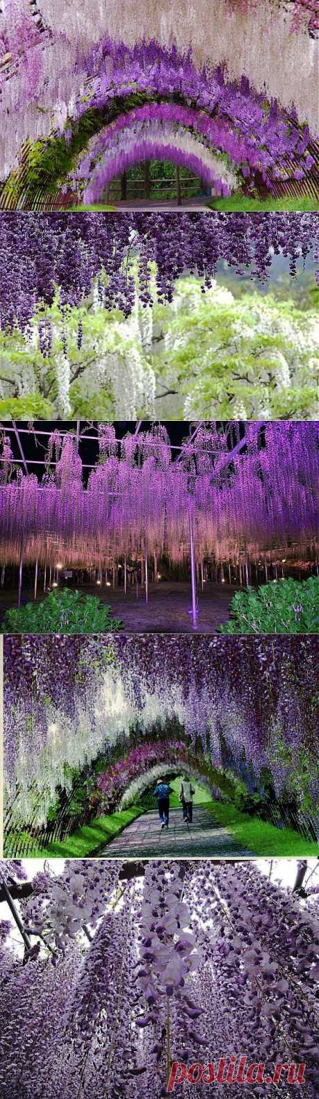 Сказочный сад Кавати  в Японии | Самоцветик