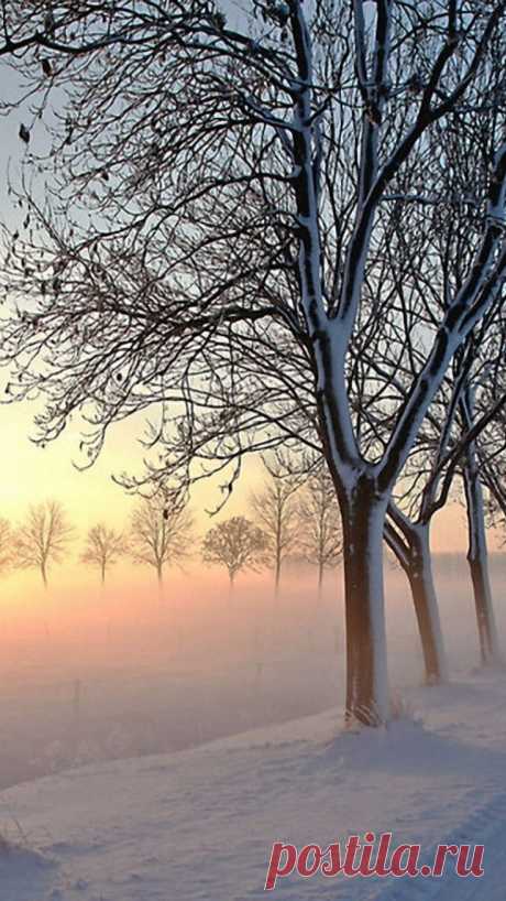 Lunar walk от пользователя haikus* на Flickr / road, trees, winter, snow, light, morning, fog, awakening | Roxanne Scott приколол(а) это к доске Beautiful Places and Things