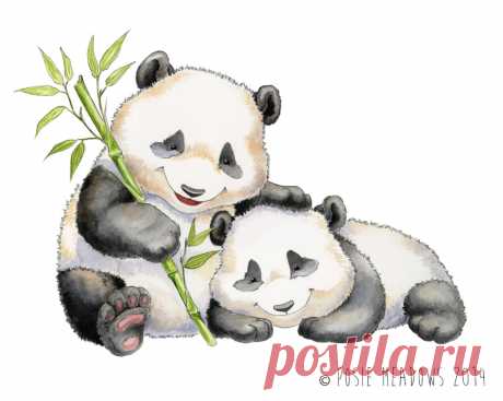 Panda Bear Baby Panda Art Panda Nursery Panda Bear Print