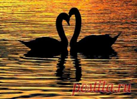 Лебеди на закате - Схемы вышивки - 010203 - Авторы - Портал «Вышивка крестом»