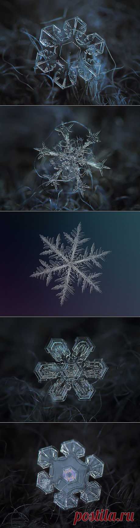 Snowflakes and snow crystals - a set on Flickr