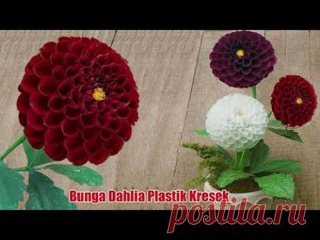 Bunga Pom Pom Dahlia dari Plastik Kresek-Pom Pom Dahlia Flowers from Crackle Plastic