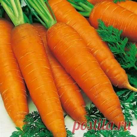 САЛАТ ИЗ МОРКОВИ НА ЗИМУ, ЗАГОТОВКИ ИЗ МОРКОВИ И С МОРКОВЬЮ | Журнал "JK" Джей Кей Во всех заготовках на зиму встречается морковь. Она придает салатам своеобразный вкус, подчеркивая многие овощи. Салаты из моркови на зиму можно готовить используя разное сочетание овощей. Салат с чесноком Ингредиенты: - морковка – 1 кг - томаты мясистые – 2 кг - белый лук – 1 кг - красный болгарский перец – 2 кг -