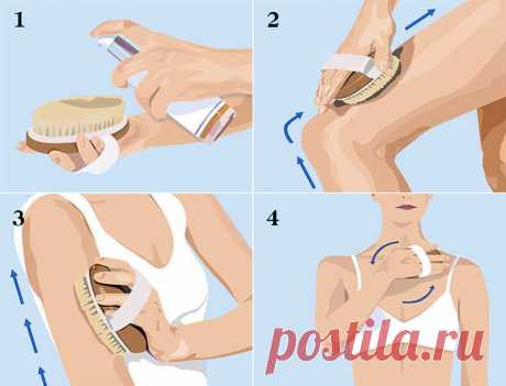 Эта простая процедура стимулирует лимфатическую систему, улучшает пищеварение и функцию почек 
Многие люди, как правило, тщательно ухаживают за кожей лица, регулярно делая пилинг, чистку и увлажнение. Но когда в последний раз вы заботились о коже на остальных частях вашего тела?
Ваша кожа – ва…