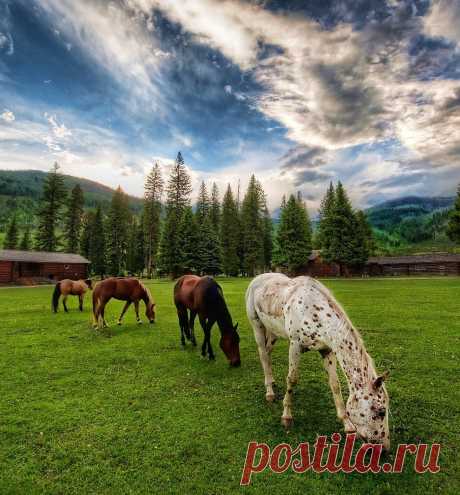 Замок. (Фото Trey Ratcliff)  |  HDR - фантастические снимки. Часть 4 | ФОТО НОВОСТИ