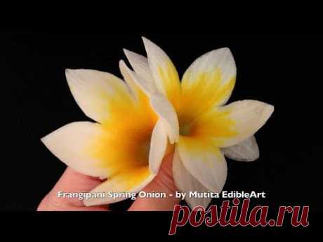 Beautiful Frangipani Flower Spring Onion - Lesson 25 By Mutita Art Of Fruit Vegetable Carving Video