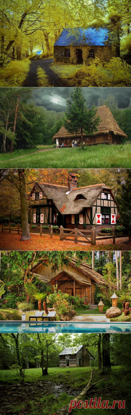Очаровательные уютные лесные домики, которые лучше любой квартиры / Туристический спутник