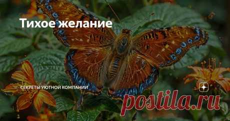 Тихое желание Статья автора «Секреты уютной компании» в Дзене ✍: Свое желание надо так тихо прошептать бабочке, чтобы для всех земных существ оно осталось тайной, и отпустить ее.