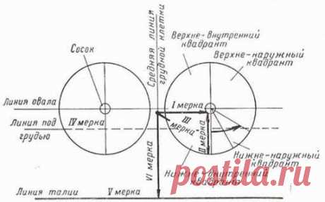 ВЫКРОЙКИ БЮСТГАЛЬТЕРОВ.