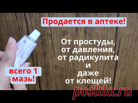 В мае эта дешевая мазь для здоровья и от насекомых!  Насекомые не любят эту мазь!