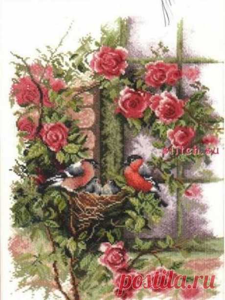Nesting birds in rambler rose. Снегири и розы. Lanarte. Скачать схему вышивки крестиком — Дом крестика