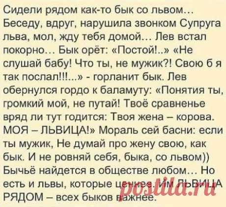 Как необычно использовать алюминиевую фольгу
 НА КУХНЕ...
Отличная корочка на пироге. Чтобы края домашнего пирога не подгорели, закройте их полосками алюминиевой фольги. Фольга не дает краям поджариться раньше, чем подрумянится весь пирог.
Оригинальные формочки для кекса. Приготовьте кекс в виде игрушечного мишки ко дню рождения, в виде сердечка на день св. Валентина или любой другой формы соответственно случаю. Для этого достаточно придать листу толстой фольги, сложенной вдвое, желаемый конт