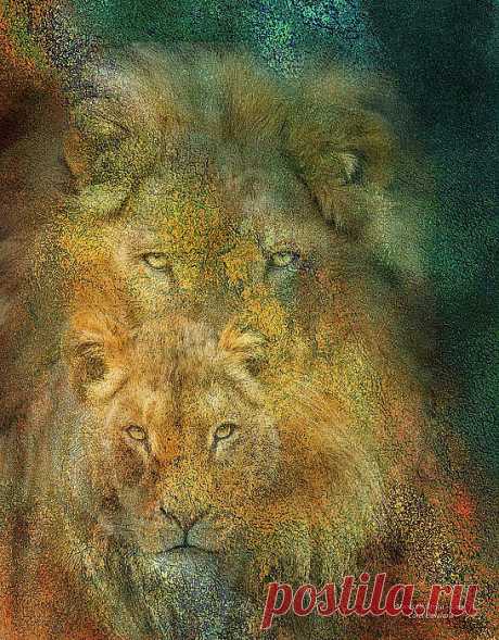 Moods Of Africa - Lions Mixed Media by Carol Cavalaris - Moods Of Africa - Lions Fine Art Prints and Posters for Sale