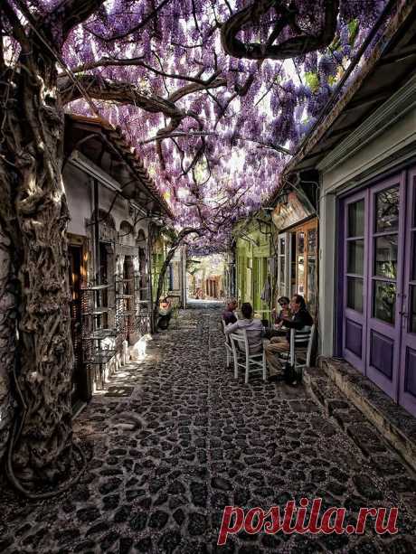 25 потрясающе красивых улиц в тени садов и деревьев