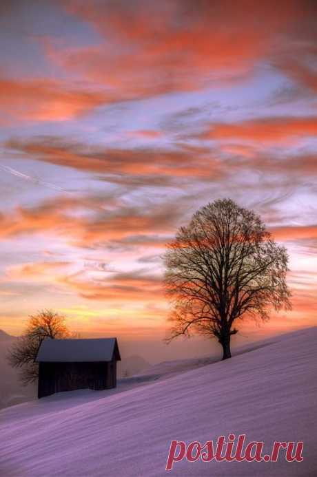 winter morning  
Cosy Refugium  |  Pinterest • Всемирный каталог идей