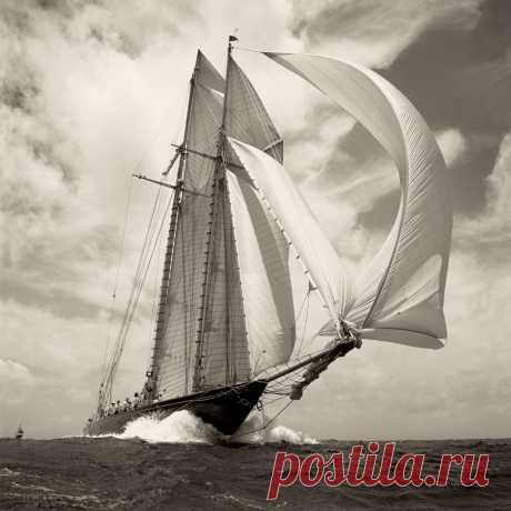 Sailing more than the Seven Seas : Photo