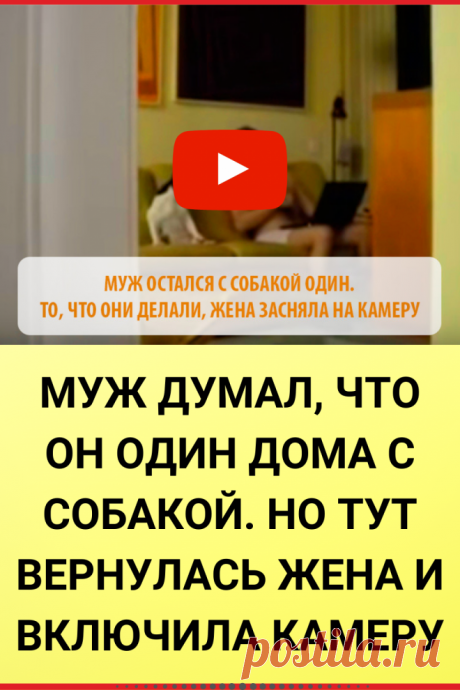 Муж думал, что он один дома с собакой. Но тут вернулась жена и включила камеру