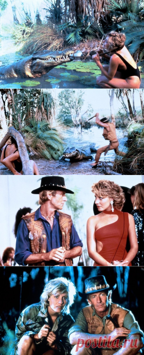 Как снимали фильм «Крокодил Данди» (1986)? | Культура