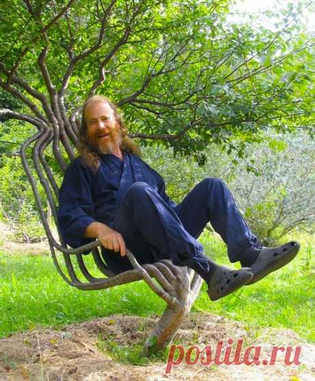 Художник Питер Кук вырастил в своём саду этот живой стул, используя методы формирования дерева в процессе роста. На создание этого стула ушло 8 лет, но результат стоил того.