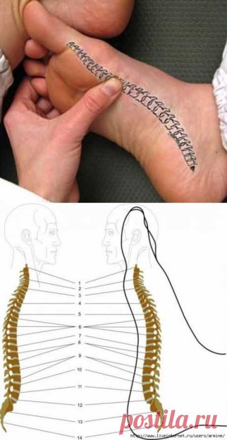 Здоровье. Уникальный массаж стопы снимает все боли в спине - 23 Апреля 2014 - NewRezume.org