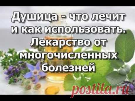 Это одна из самых мощных трав в мире, и большинство людей о ней не знают! Особенно полезна эта трава для женщин! — Бесплатные открытки и поздравления для друзей