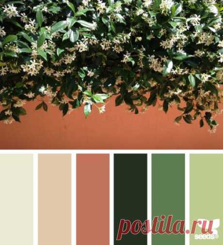 design seeds | jasmine hues | for all who ♥ color