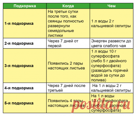 График подкормок томатной рассады по фазам роста (таблица)