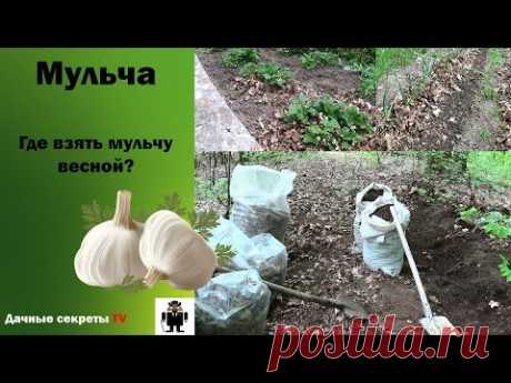 Мульча.  Где взять мульчу весной. Mulch.