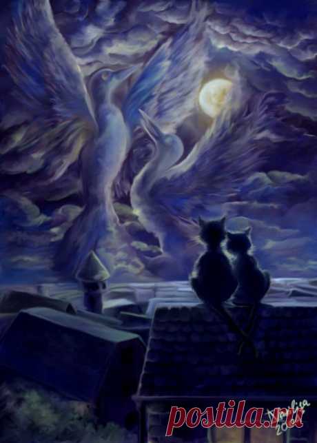 Фото два чёрных кота любуются на птиц в ночном небе, страница
