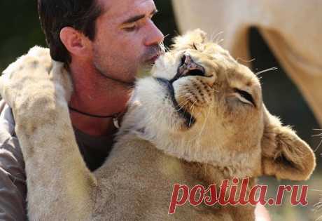 любовь людей  и животных