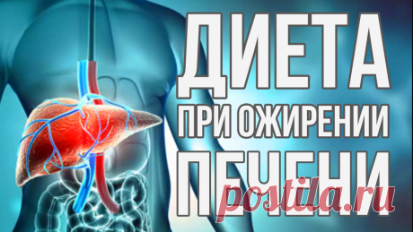 Ожирение печени: Путь к Здоровью через Диету - Меню Питания на 10 Дней, Разрешенные и Запрещенные Продук | Красивая женщина — ухоженная женщина! ✔ | Дзен